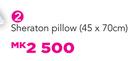 Sheraton Pillow 45X70cm