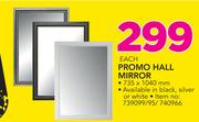 Promo Hall Mirror-735 x 1040mm Each