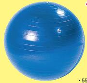 Trojan 65cm Body Ball-Each