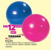 Trojan Body Ball Assorted Colours-Each