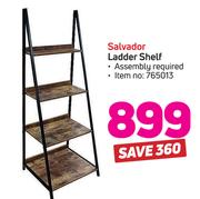 Salvador Ladder Shelf