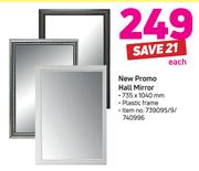 New Promo Hall Mirroe-735 x 1040mm Each