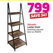 Salvador Ladder Shelf