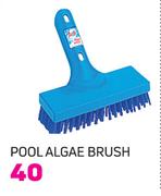 HTH Pool Algae Brush