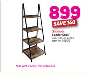 Salvador Ladder Shelf