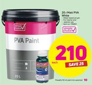 Powafix 50ml Paint Tint Assorted