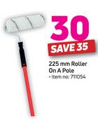 225mm Roller On A Pole