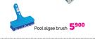 HTH Pool Algae Brush-Each