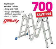 Gravity Aluminium Wonder Ladder