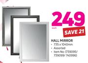 Hall Mirror (735x1040mm)-Each