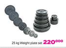 Everlast 25Kg Weight Plate Set