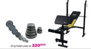 Everlast 25kg Weight Plate Set