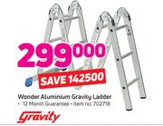 Gravity Wonder Aluminium Gravity Ladder