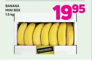 Banana Mini Box-1.5Kg