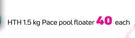 Hth 1.5Kg Pace Pool Floater