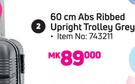 Voyager 60cm Abs Ribbed Upright Trolley Grey 