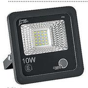 Ellies 40W LED Flood Lamp-Each
