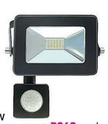 Eurolux 20W LED Floodlight With Motion Sensor-Each