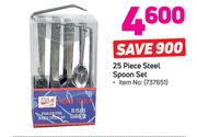 25 Piece Steel Spoon Set