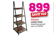 Salvador Ladder Shelf