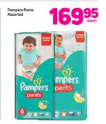 Pampers Pants Assorted-Each