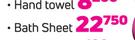 Nortex Assorted Bath Sheet-Each