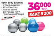 Trojan 65cm Body Ball Blue-Each