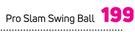 Pro Slam Swing Ball