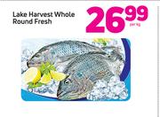 Lake Harvest Whole Round Fresh-Per kg
