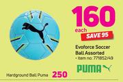Hardground Ball Puma