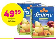 Fruitree Nectar Blend Punch Juice Carton 5Ltr-Each