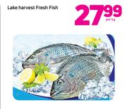 Lake Harvest Fresh Fish-Per kg