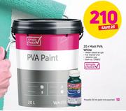 Powafiz 50ml Paint Tint Assorted