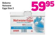 Bokomo Notwane Eggs Size 3