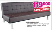 Aspen Sleeper Couch