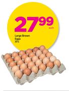Large Brown Eggs 30’s-Each