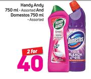 Handy Andy And Domestos-2 x 750ml