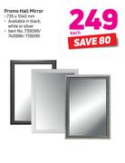 Promo Hall Mirror (735 x 1040mm)-Each