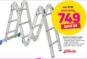 Gravity Aluminium Wonder Ladder