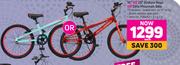 Raleigh 16" Or 20" Enduro Boys Or Girls Mountain Bike-Each
