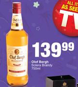 Olof Bergh Solera Brandy-750ml