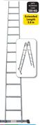 Trade Quip Dual Ladder