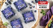 Blueberry Punnets-For 4 x 125g