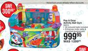 Playgro Pop & Drop Activity Ball Gym