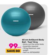 Trojan 65cm Antiburst Body Ball Teal/Grey-Each