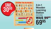 3 In 1 Wooden Learning Station