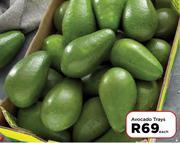 Avocado Trays-Each