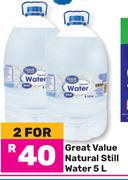 Great Value Natural Still Water-For 2 x 5Ltr