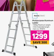 Mainstays Multipurpose Aluminium Ladder