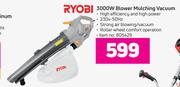 Ryobi 3000W Blower Mulching Vacuum